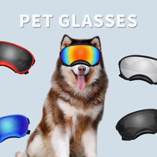 Gafas Protectoras para Perros en la Nieve