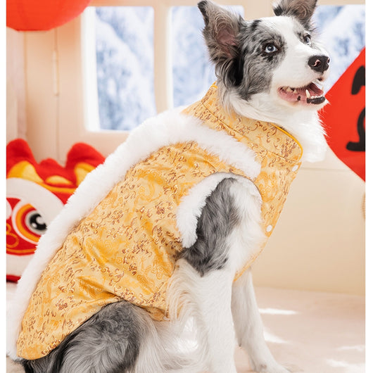 Abrigo Chino Acolchado para Perros Grandes - Estilo Tang con Pelaje de Conejo - Image 10