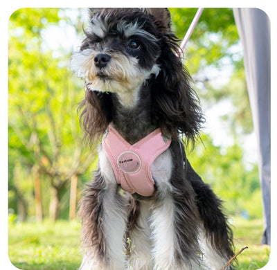 Arnés de Paseo con Correa de Mano para Mascotas - Image 17