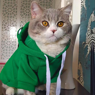 Sudadera Cálida de Rana para Mascotas - Disfraz Halloween Divertido para Gatos y Perros Pequeños - Image 17
