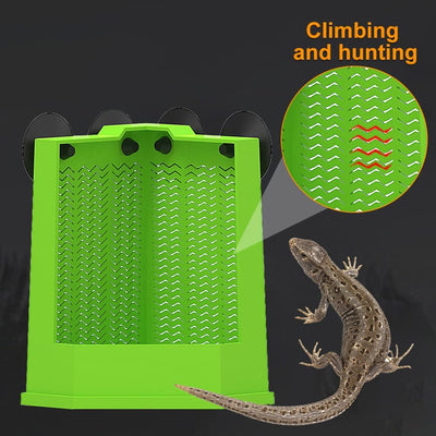 Comedero Esquinero para Dragón Barbudo con Ventosas - Alimentador de Pared para Terrario - Image 13