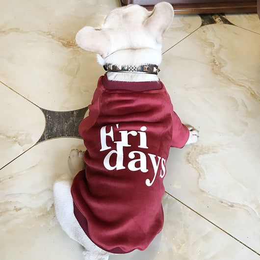 Suéter Acolchado de Terciopelo Reversible para Perros - Image 3