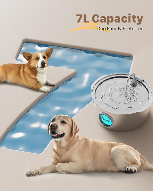 Dispensador Automático de Agua con Calefacción para Mascotas - 7L Acero Inoxidable - Image 19