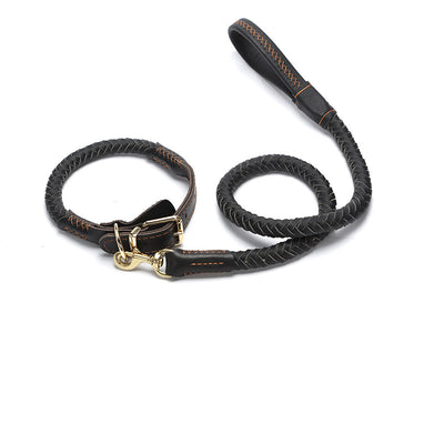 Correa de Perro Reforzada con Cadena Antiroturas para Razas Medianas y Grandes - Image 16