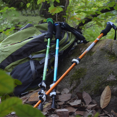 Bastón de Trekking Aluminio Mango Recto - Ligero y Resistente - Image 10