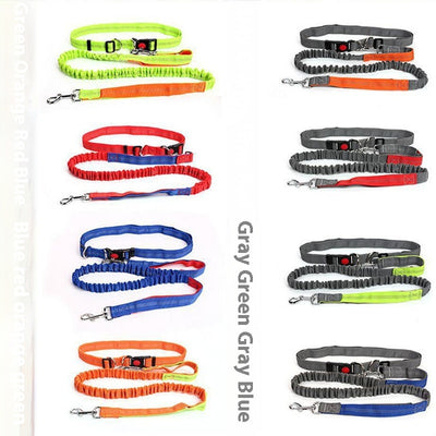 Correa Reflectante para Perros con Elástico - Ideal para Correr de Noche - Image 15