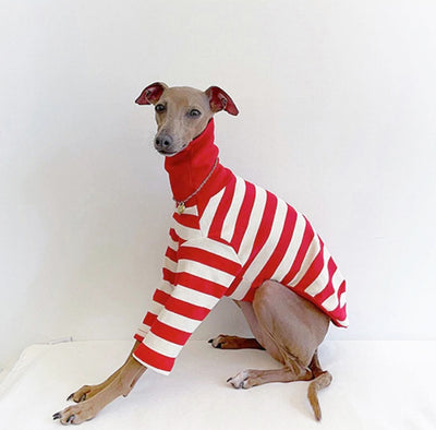 Suéter Rayas Cuello Alto Algodón Stretch para Perros - Image 5