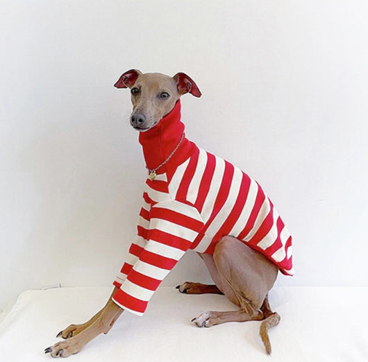 Suéter Rayas Cuello Alto Algodón Stretch para Perros - Image 5
