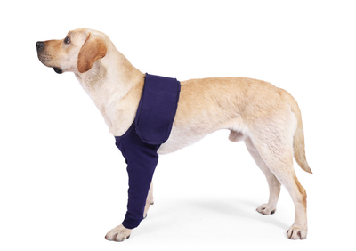 Manga Protectora Antilamido para Recuperación Postoperatoria de Perros - Image 14