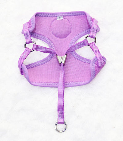 Chaleco Respirável para Perros Pequeños - Arnés Pectoral Ajustable - Image 9