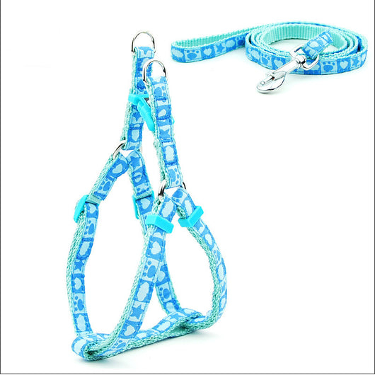 Arnés y Correa para Perro con Estampado de Huesos - Colección Verano - Image 3