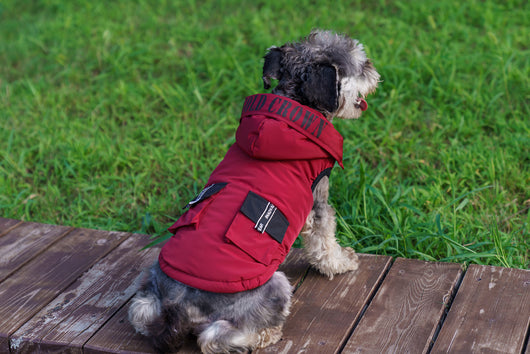Abrigo Térmico con Capucha para Mascotas - Diseño Acolchado Invierno - Image 12