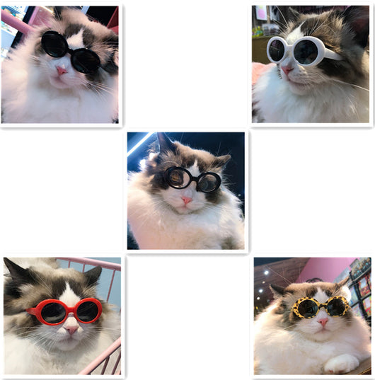 Gafas de Sol Multicolor para Mascotas - Accesorios Cool para Perros y Gatos - Image 24