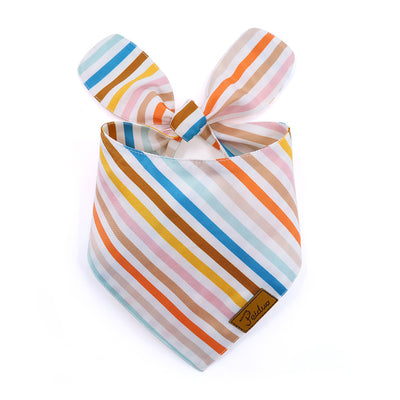 Toalla Absorbente para Perros con Diseño de Rayas - Image 3