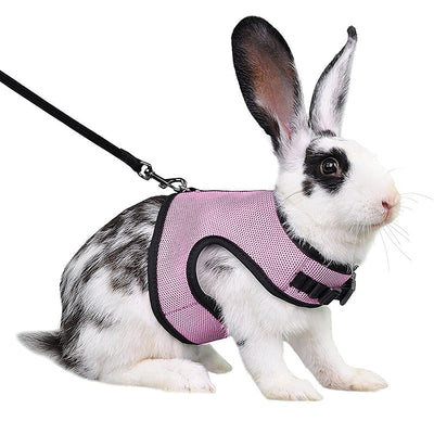 Light gray mesh pet harness with black trim and matching leash on a black and white rabbit. - Image 8
