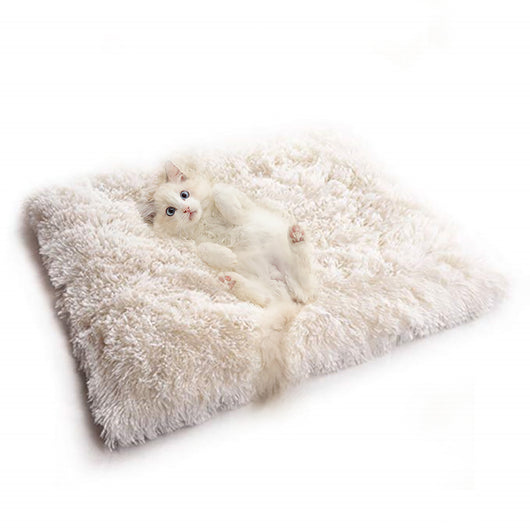 Cama de Terciopelo para Gatos Coreana Premium - Image 15