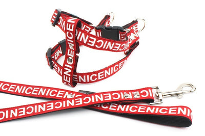 Collar de Tracción para Perros en Poliéster PET Resistente - Image 11