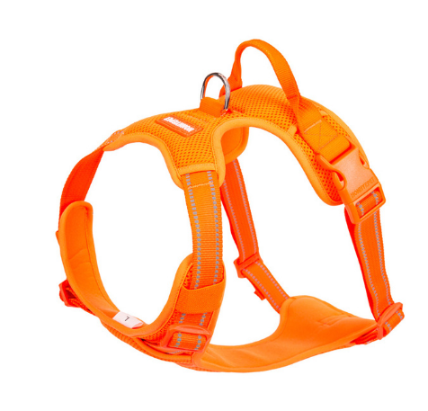 Arnés Pectoral Teddy's Fund - Chaleco de Sujeción - Image 9