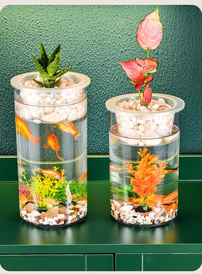 Maceta Ecológica de Escritorio con Paisaje Miniatura y Pecera Transparente - Image 26