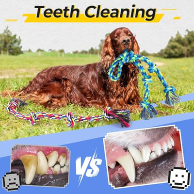 Juguete de Cuerda Resistente para Perros Agresivos - Tira y Afloja Duradero - Image 3