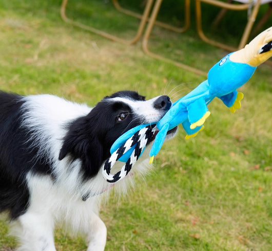 Juguete Molar Interactivo para Perros Medianos y Grandes con Sonido - Image 11