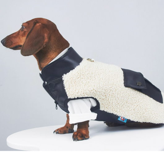 Abrigo Térmico de Cuero para Mascotas - Otoño e Invierno - Image 12