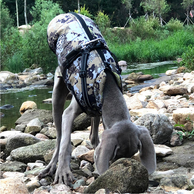 Abrigo Impermeable Camuflaje para Perros Grandes con Algodón Acolchado y Reflectivos - Image 6