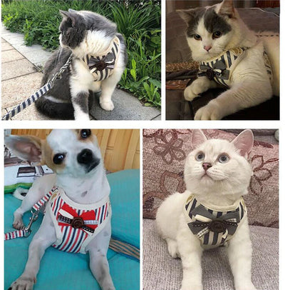 Chaleco Transpirable para Perros - Diseño Cómodo y Elegante - Image 21