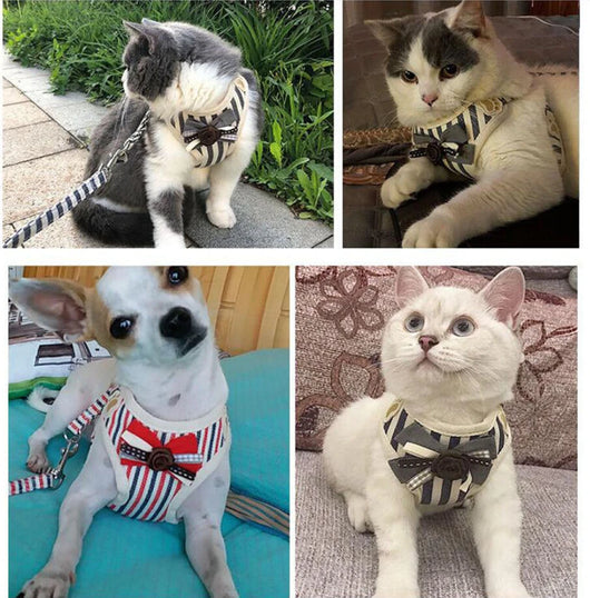 Chaleco Transpirable para Perros - Diseño Cómodo y Elegante - Image 21