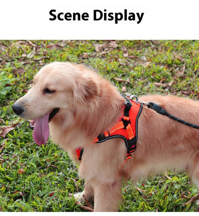 Arnés de Pecho Anti-Tirón para Perros Grandes - Image 12