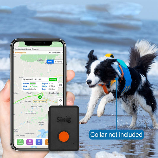 Sinotrack GPS tracker kit with black device, orange button, white charging cable, lanyard, pouch, and box.