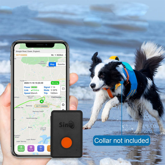 Sinotrack GPS tracker kit with black device, orange button, white charging cable, lanyard, pouch, and box.