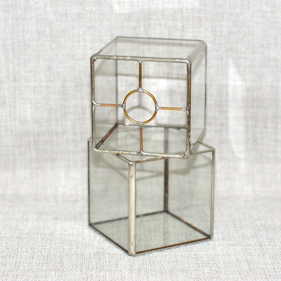 Maceta Vintage de Cristal para Suculentas y Flores - Image 6