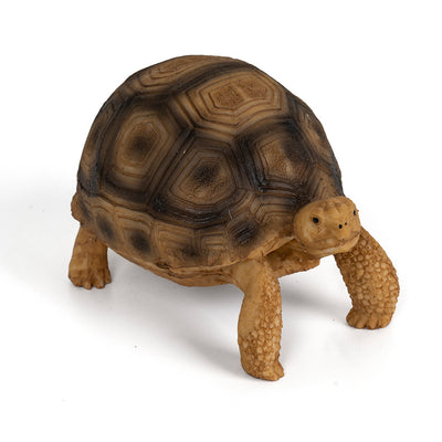 Adorno de Resina para Tortugas Brasileñas - Hábitat Acuático Realista