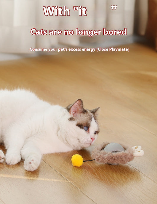 Juguete Interactivo para Gatos - Bola Rodante Automática - Image 3