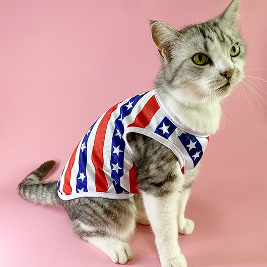 Chaleco Transpirable para Mascotas Día de Independencia - Image 36