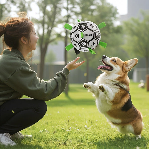 Pelota de Juego para Perros - Resistente al Masticado y Lanzamiento