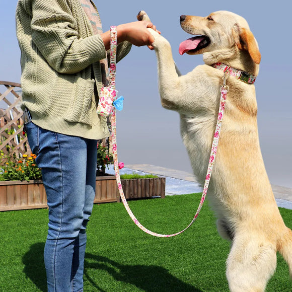 Collar Personalizado para Perro con Placa de Identificación