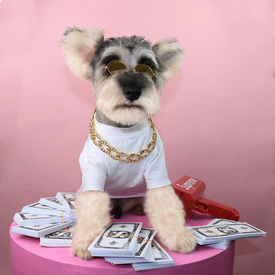 Collar de Cuentas para Mascotas - Joyería Elegante - Image 6