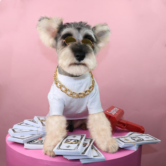 Collar de Cuentas para Mascotas - Joyería Elegante - Image 6