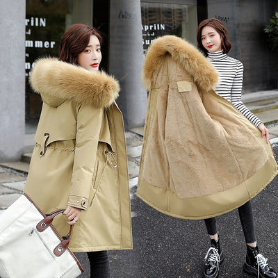 Chaqueta Acolchada de Algodón con Cintura Térmica para Invierno - Image 8