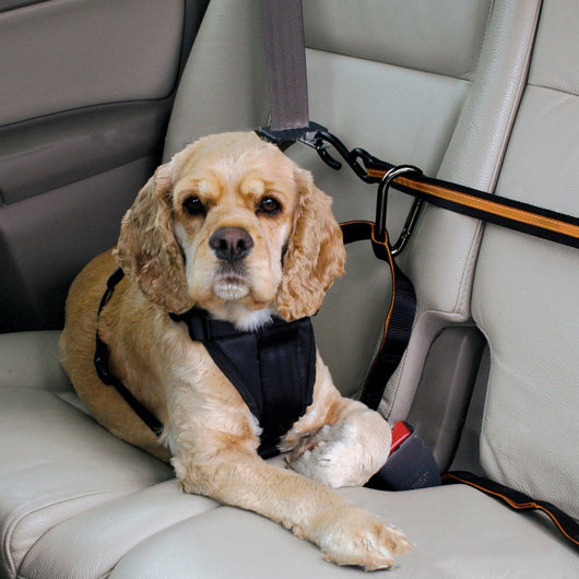 Orange and black pet safety belt installed in a car, securing a boxer dog in the back seat. - Image 3