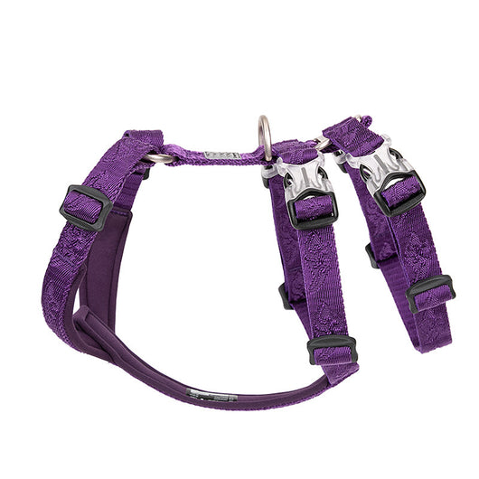 Arnés de Paseo para Perro con Correa Pectoral - Image 6