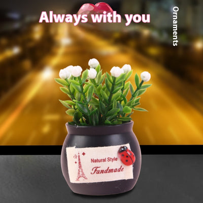 Difusor Aromático para Auto con Planta Ornamental de Fortuna