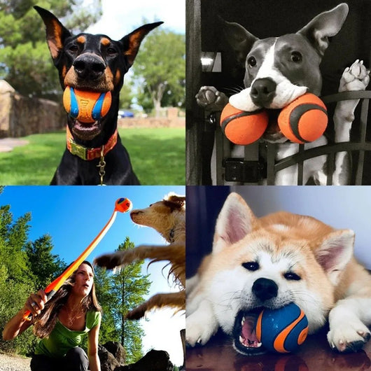 Pelota de Juego Resistente para Perros - Juguete Elástico para Traer y Masticar - Image 11