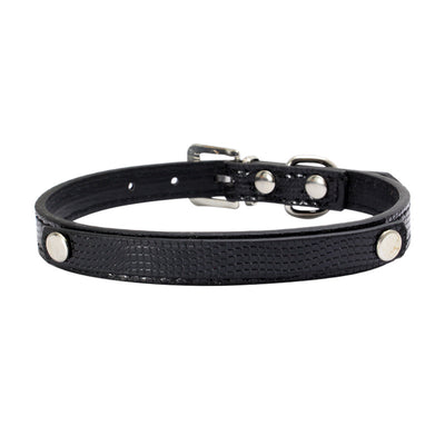 Collar Personalizado para Perro con Letras DIY del Nombre - Image 6