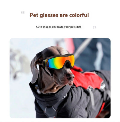 Gafas de Sol para Perros con Protección UV - Lentes Deportivas para Mascotas - Image 30