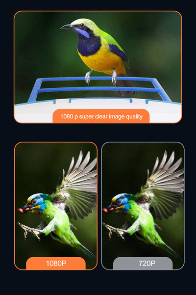 Comedero Automático para Mascotas con Cámara Solar - Image 9