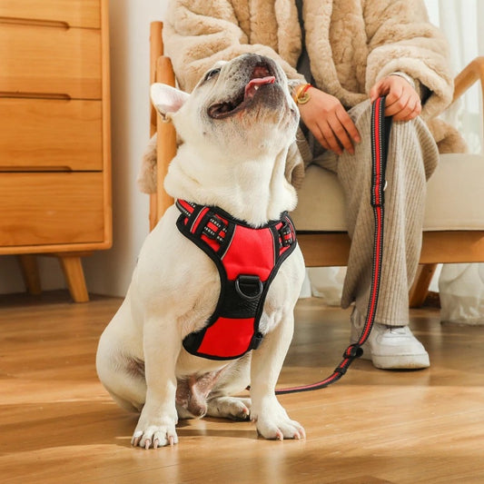 Chaleco Antiexplosión de Protección para Perros