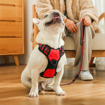 Chaleco Antiexplosión de Protección para Perros